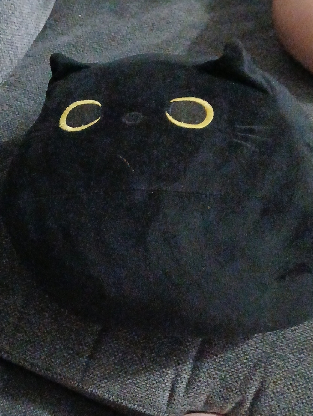 Black Plush Cat Plush with Yellow Eyes - Brand Unknown